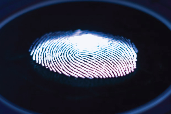 Finger Print