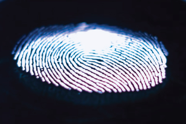 fingerprint